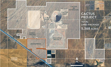 Cactus in Arizona, USA