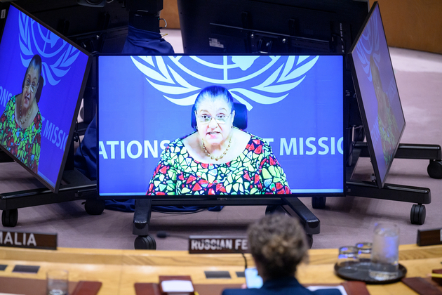 UN-SECURITY COUNCIL-LIBYA-MEETING