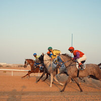 'Al Habeeb' wins first race at Purebred Arabian Horse Race in Al Dhafra