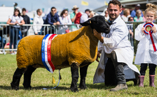 GREAT YORKSHIRE SHOW: Suffolk takes supreme title