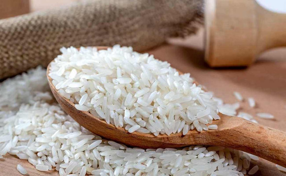 Fujitsu VC unit backs rice trading platform