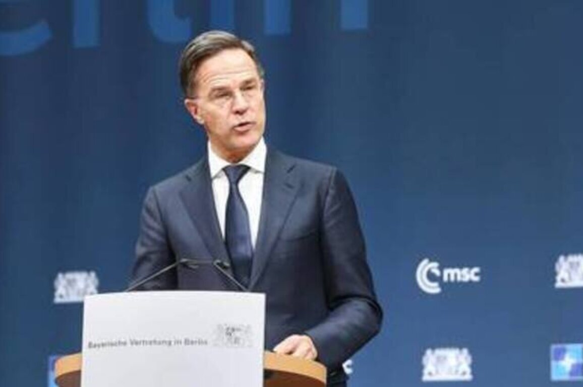 EU should not act as alternative to NATO - Rutte