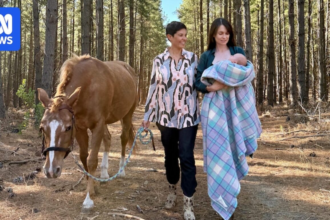 Many paths to becoming a mum- First Nations women reflect on Mother's Day