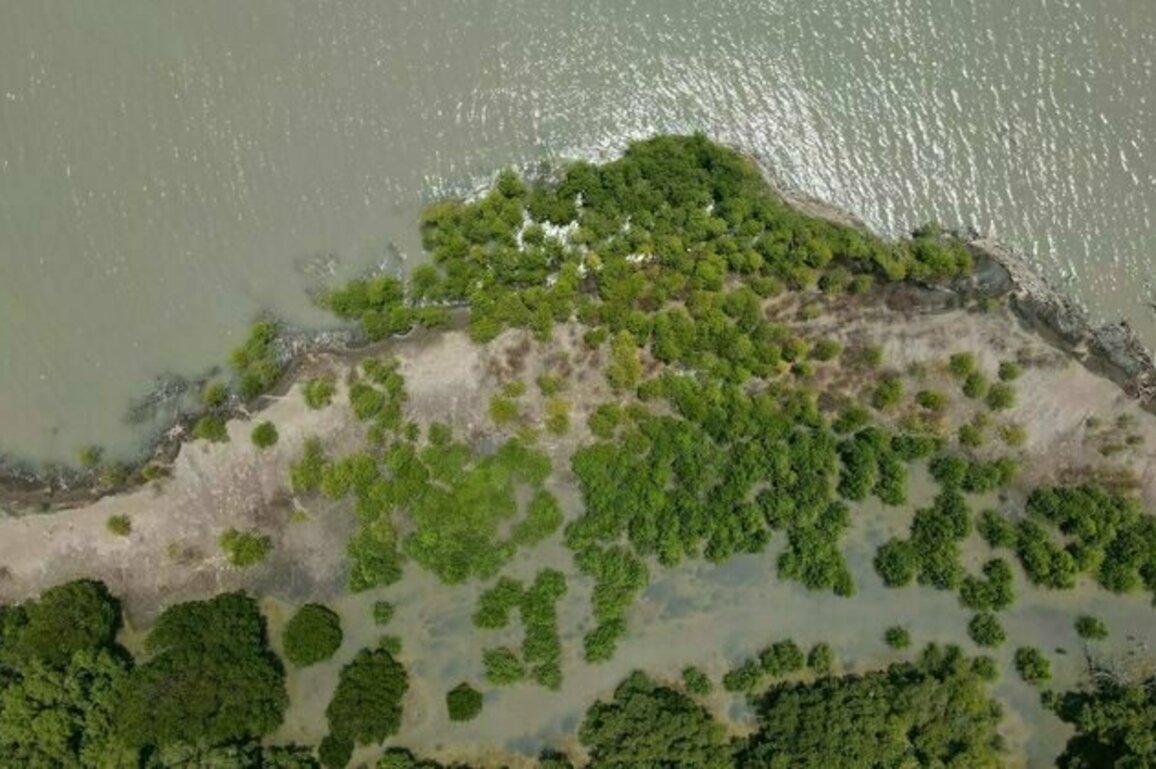 Kisah perempuan Muara Gembong bertahan di tengah abrasi