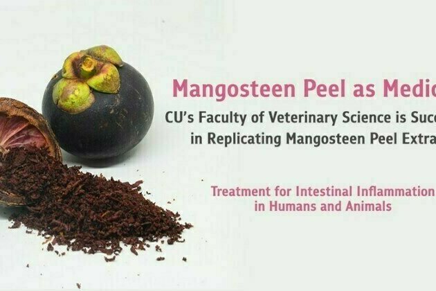 Mangosteen Peel as Medicine - CU's Faculty of Veterinary Science is Successful in Replicating Mangosteen Peel Extract, Treatment for Intestinal Inflammation in Humans and Animals