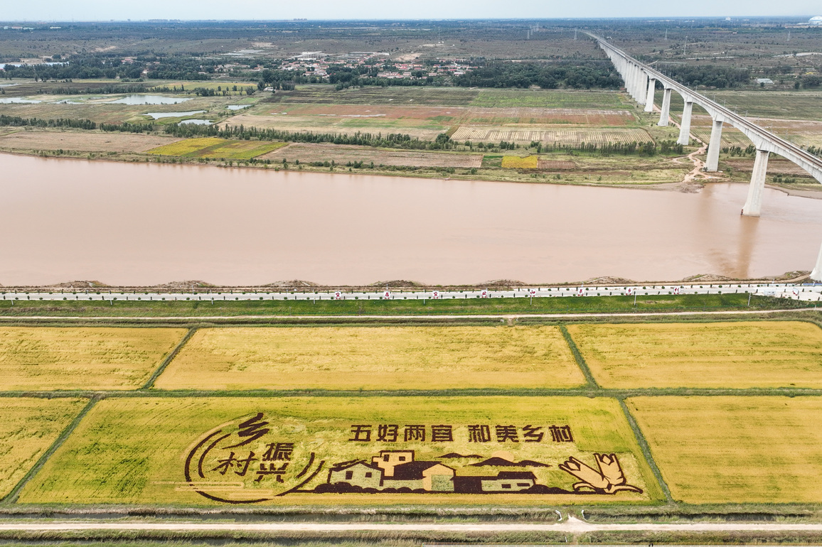 CHINA-INNER MONGOLIA-JUNGAR BANNER-PADDY FIELDS (CN)