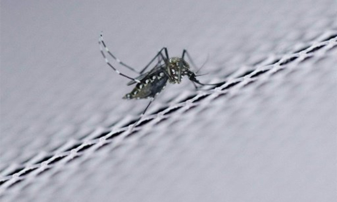 West Nile virus epidemics made worse by drought West Nile virus epidemics made worse by drought