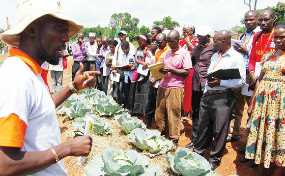 Abalimi nga basomesebwa okulima enva endiirwa. Abalimi nga basomesebwa okulima enva endiirwa.