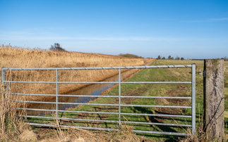 Charity offers Norfolk farmers water management support amid climate challenges