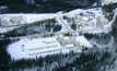 Eagle in Yukon, Canada