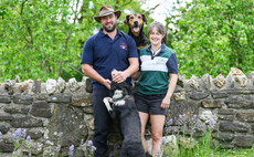 New Zealand genetics at heart of Romney flock