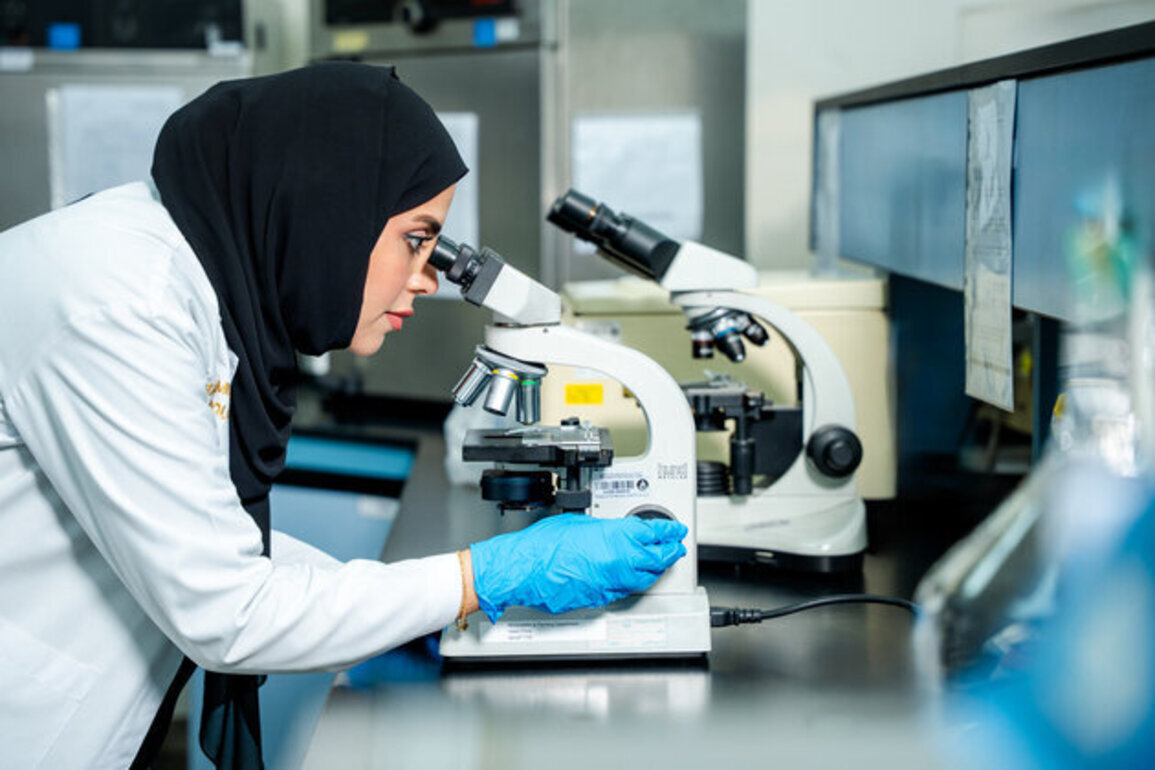 Ajman Municipality increases environmental testing by 38% to support 2030 Vision goals