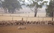 More assistance is now available for Victorian farmers affected by drought.