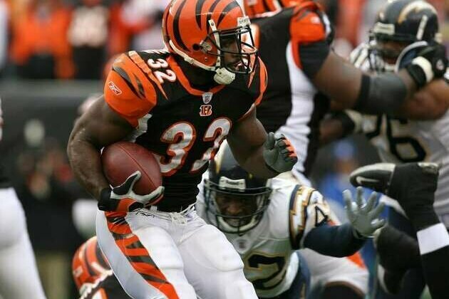 Report: Former Bengals RB Rudi Johnson dies at 45