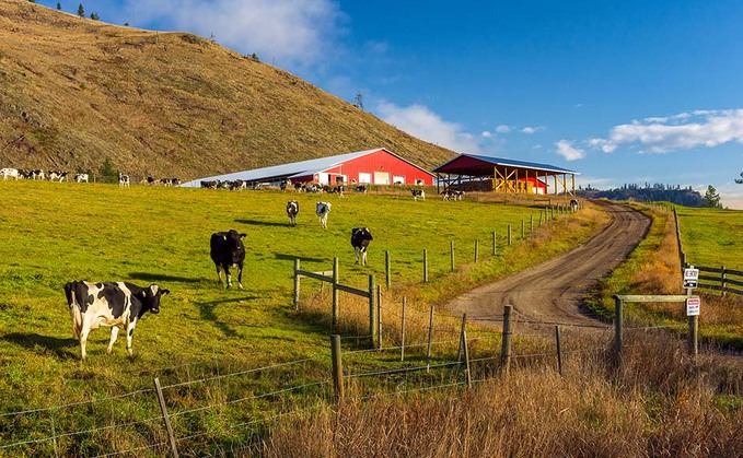 Finances pose barriers to young farmers in UK and Canada alike