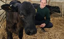 IHT critic Robert Jenrick dismissed from Tories after plotting to defect to reform