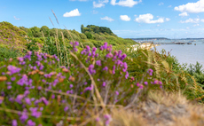 'Significant change needed': OEP slams Defra's 'disappointing' habitat protection efforts