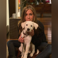 Jennifer Aniston opens up about her perfect day off, says it's like a 'blank schedule'