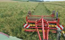 ż wanted for study on termination of cover crops