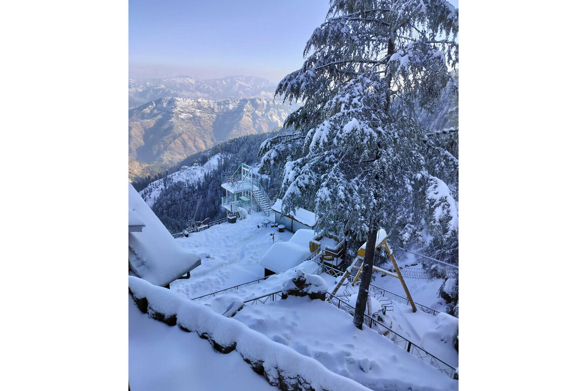 Tourists thrilled as fresh snowfall blankets Shimla; travel industry sees revival