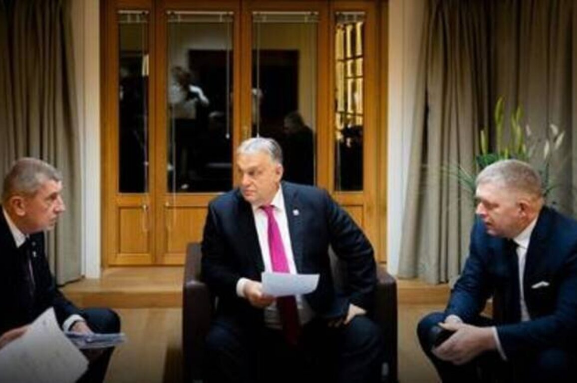 Ukraine loan decision brings EU 'closer to war' - Orban
