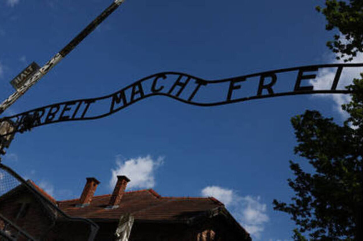 Man detained over Auschwitz gate replica in German town - media