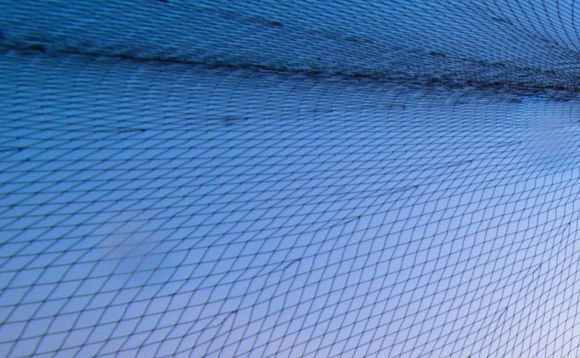 Duo of Indonesia fishery start-ups attracts funding
