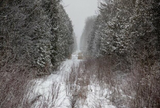 Two men indicted in connection with death of Indian migrant family on Canada-US border