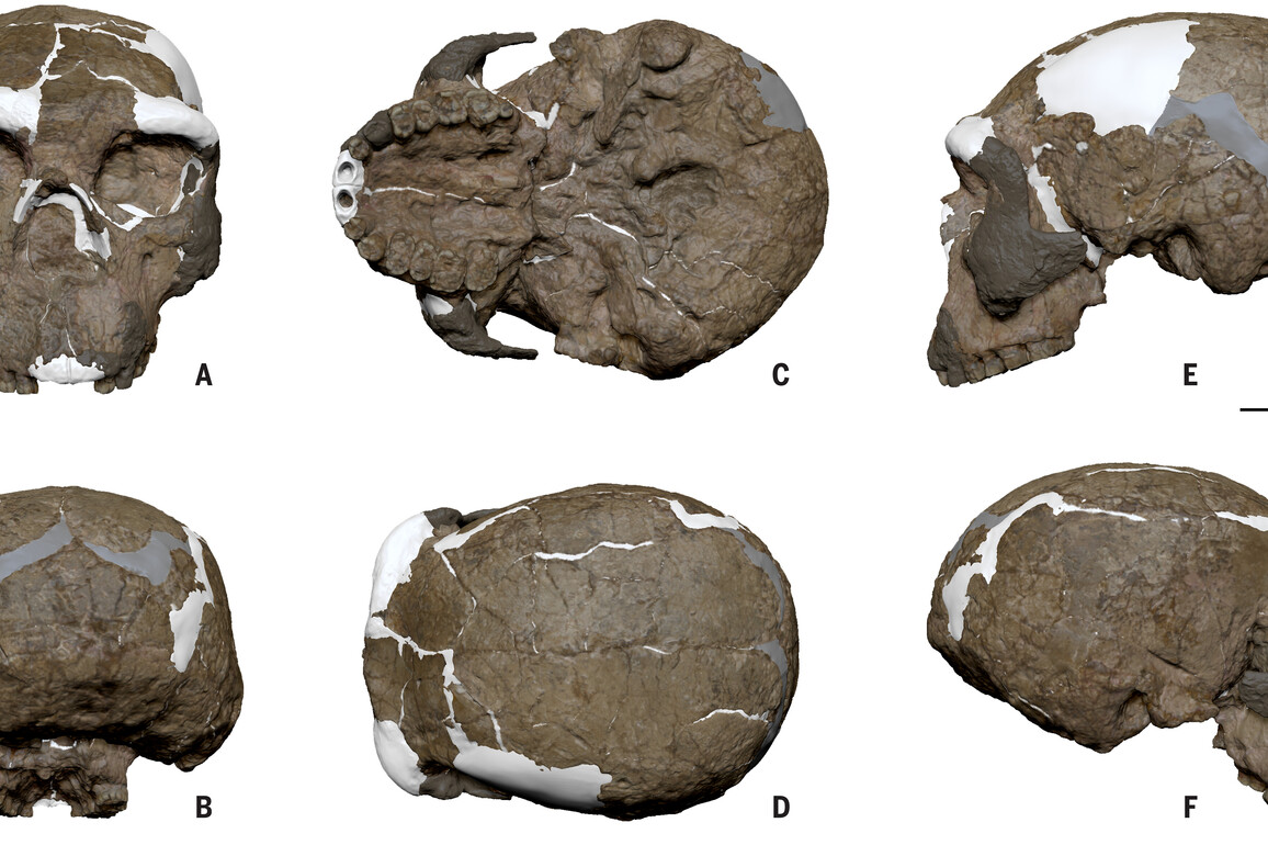 CHINA-MILLION-YEAR-OLD SKULL (CN)