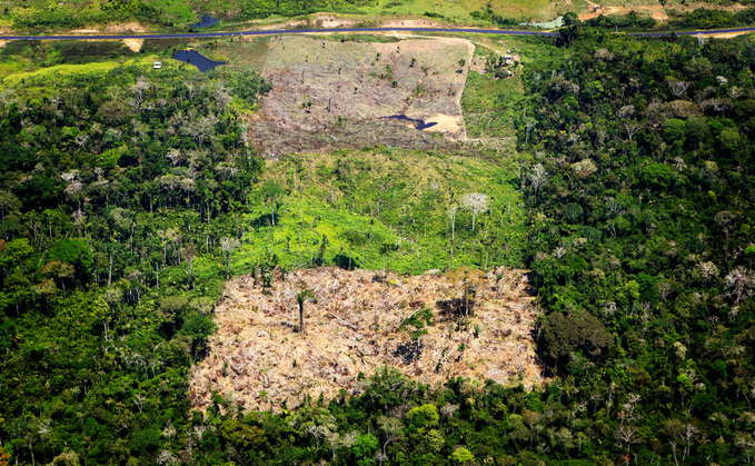 Global Briefing: G20 backs proposals for new rainforest protection fund