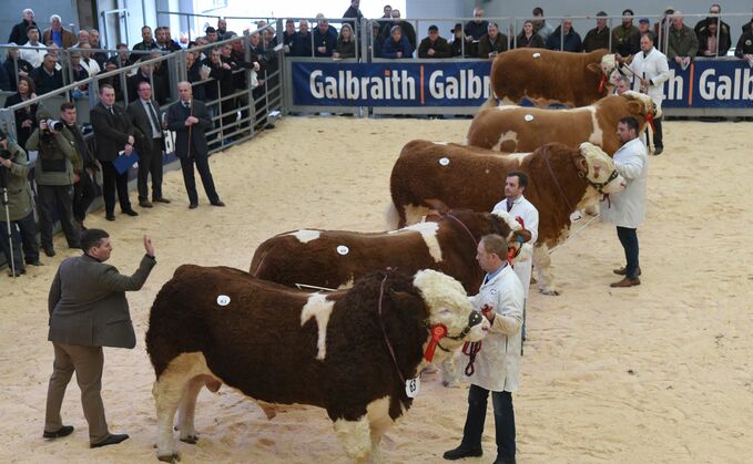 With a clearance rate of 77 per cent and 21 bulls at five figure prices, it was Michael and John Barlow, of the Denizes herd, Leyland, who topped the trade with a bid of 37,000gns, for the reserve intermediate champion, Denizes Nugget 22.