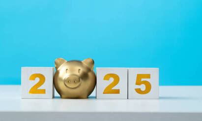 Navigating uncertainties: key investment themes for 2025