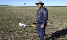 Renewed interest in oats leads to yield research