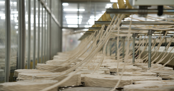 'Strategic threat': Why apparel firms are being warned to wake up to water risks - Vimarsana News