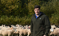 First generation sheep farmer builds flock while working full-time