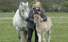 JUBILEE SPECIAL: 'It is not enough to say The Queen is keen on her Highland Ponies, she is passionate about them'