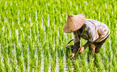 Temasek leads $28.5m series-B for Tropic Biosciences