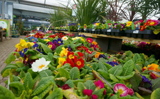 Terra Firma partially exits Wyevale Garden Centres