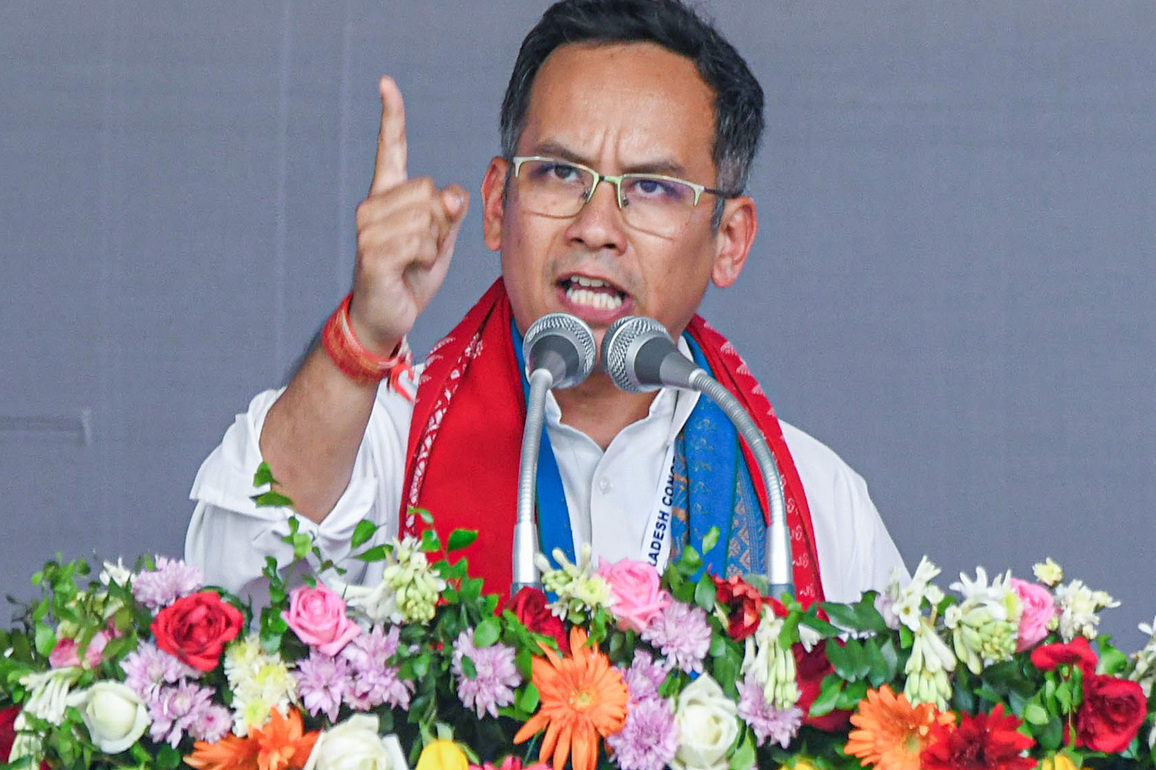 Gaurav Gogoi condemns elephants' death in Assam, raises alarm of growing challenge of human-animal conflict