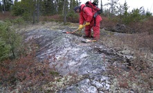 Mineralisation at Rose is hosted in outcropping pegmatite dykes