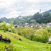 Column: The "green engine" that drives global sustainable development