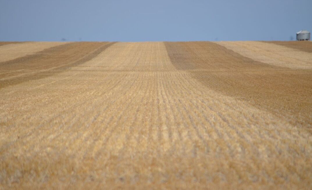 Surface moisture levels across much of the Australian grain belt have dropped while Queensland has seen flooding.