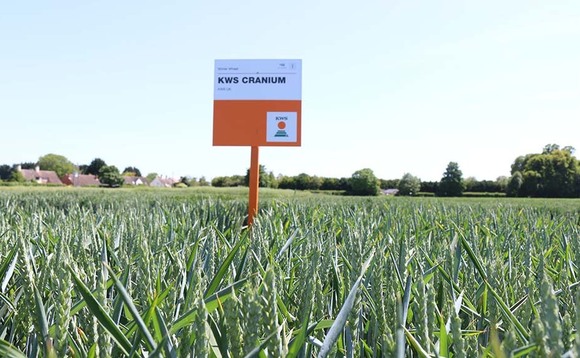 Cereals Live: Group 4 wheat and 2-row barley launched