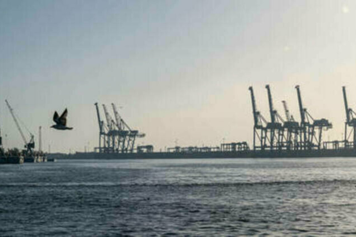 Global trade hub seeking Russia partnership - media