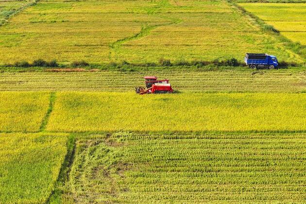 Chinese, foreign experts call for sci-tech innovation to promote sustainable agrifood systems