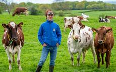 Breed societies special: Ayrshires bring longevity to Lancashire dairy farm