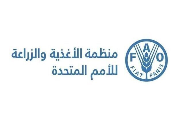 FAO: Global food prices continue upward trend in April
