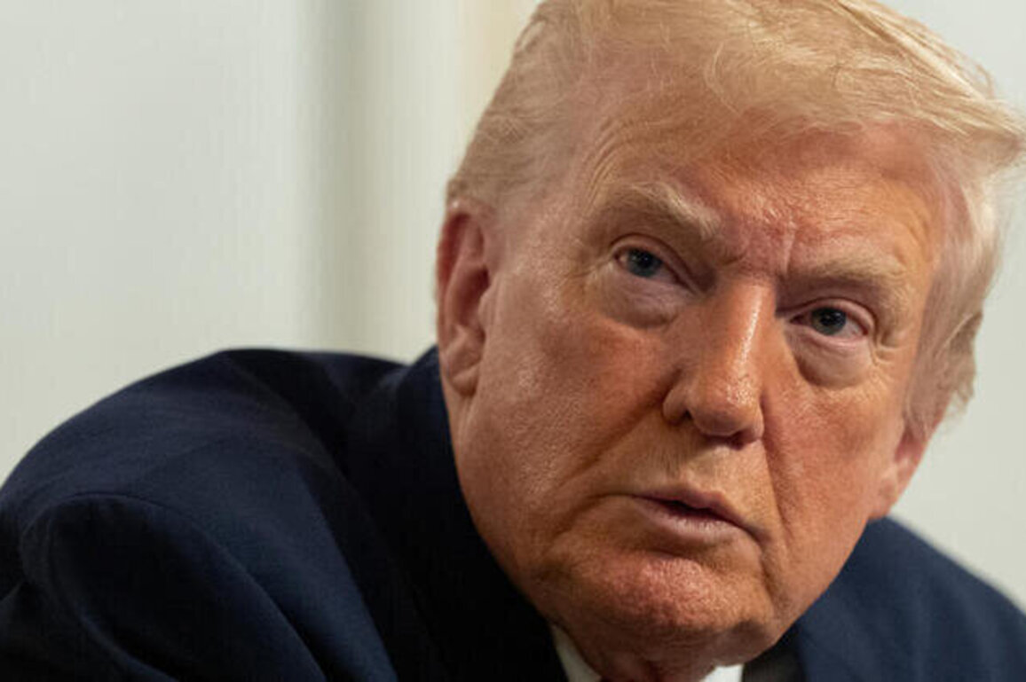 Trump launches tirade against garbage Somali immigrants in US
