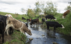 Farming is the UK's biggest water polluter - but water firms are getting most of the blame