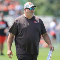 Report: Falcons add Alex Van Pelt as QB coach
